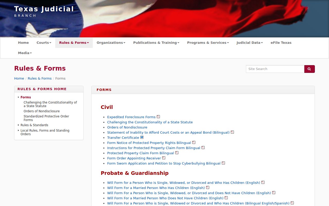 Carson County criminal court case access through the Texas court forms index